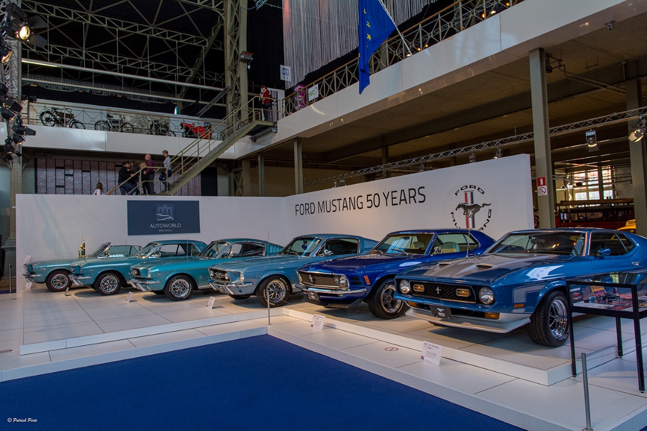 Ford Mustang La Muscle Car F te Ses 60 Ans Lors D un Rassemblement Au ford-mustang-la-muscle-car-f-te-ses-60-ans-lors-d-un-rassemblement-au
